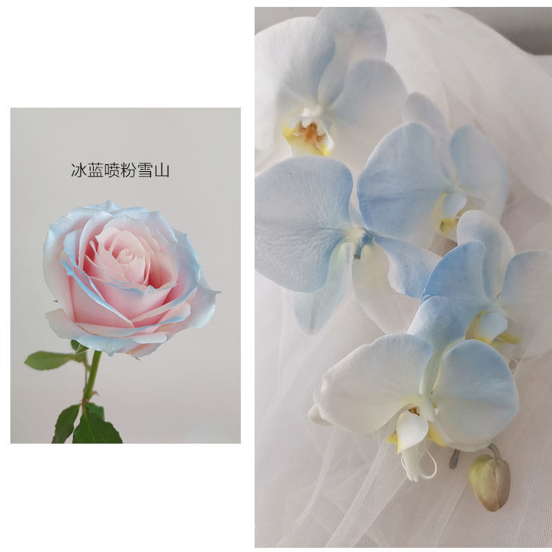 MSDS 350ml Flower Pearl Color Spray ، بخاخ طلاء صفيح للزهور
